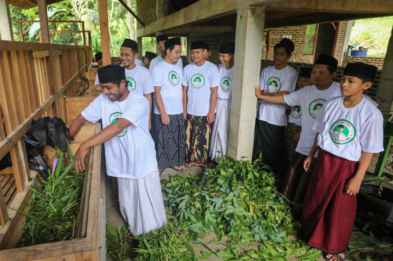 Wujudkan Santri Mandiri, Santri Dukung Ganjar Berikan Pelatihan Budi Daya Ternak Kambing di Kota Cilegon