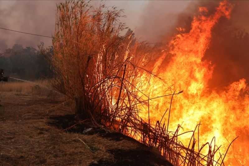 Yunani Peringatkan Risiko Tinggi Karena Kebakaran Hebat Gunung Pangaion